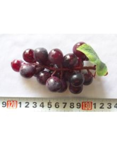Бутафория гроздь винограда 20ягод, красная, пласт